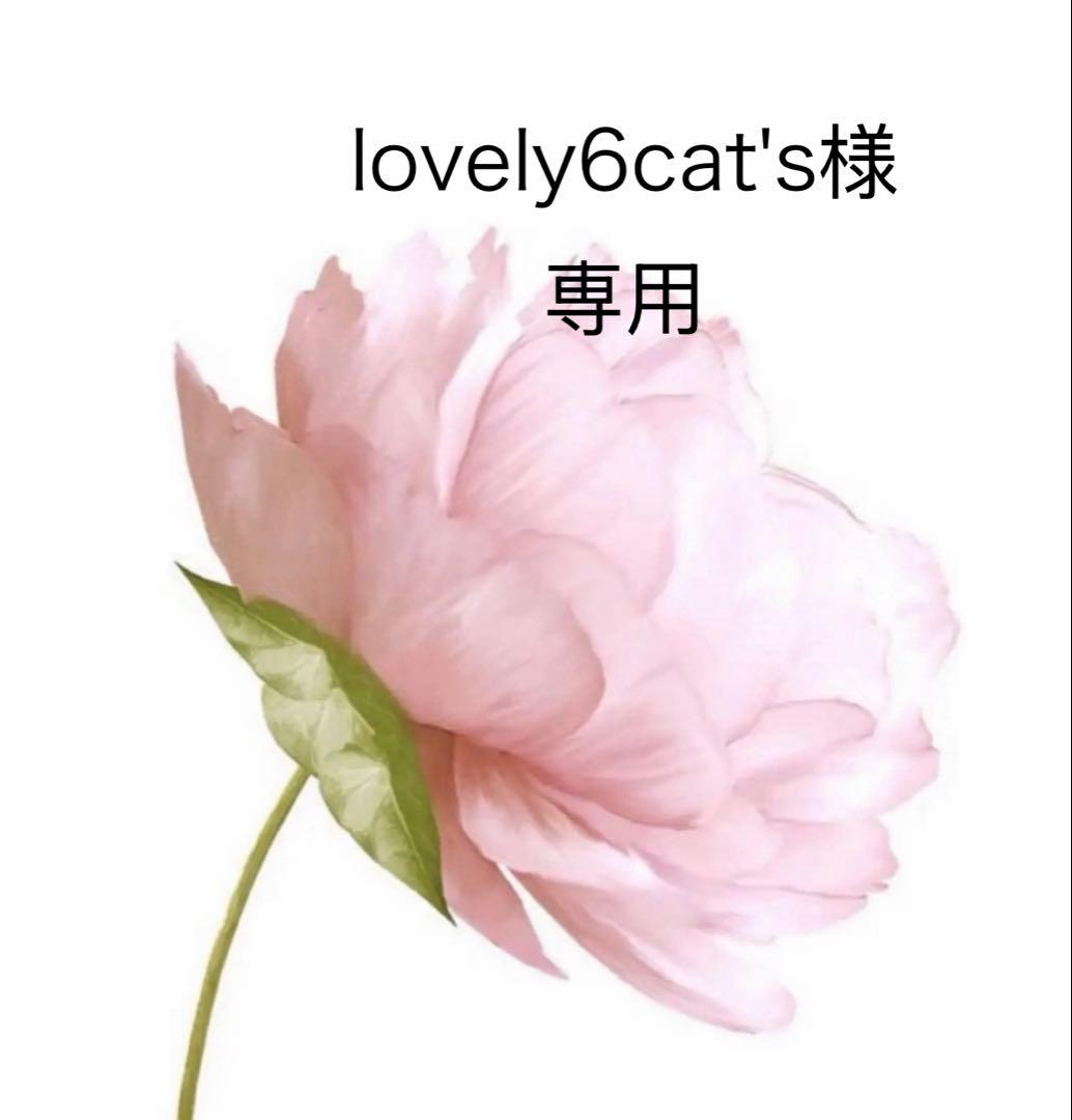 lovely6cat's
