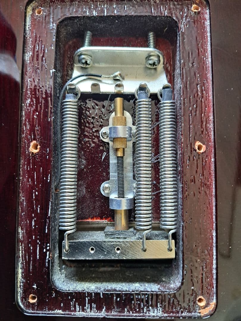 貴重/生産終了】Washburn PXS10FRDLXWB-D - メルカリ