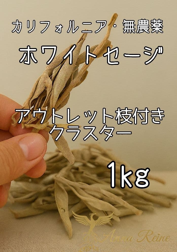 激安価格☆無農薬アウトレットホワイトセージ1KG箱入りお香浄化業務用価額 激安価格 無農薬アウトレットホワイトセージ1KG箱入りお香浄化業務用