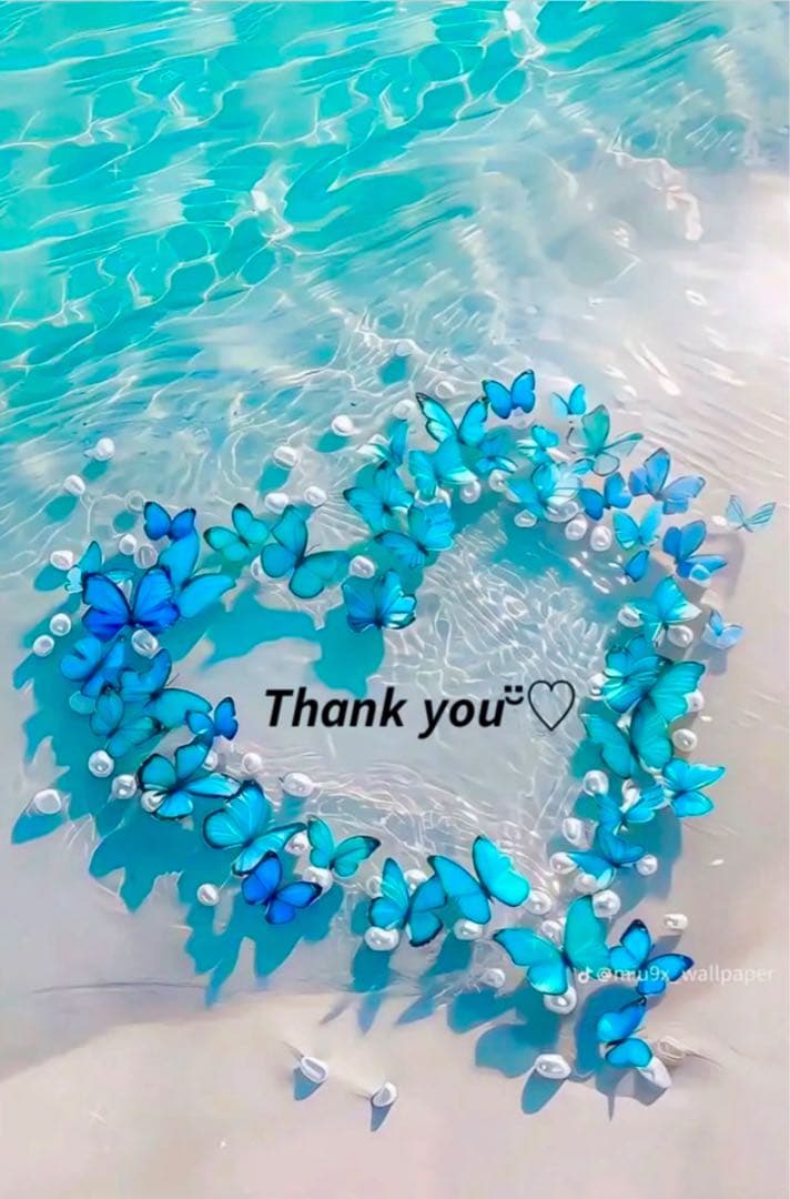 ❤️ なつみんさま❤️