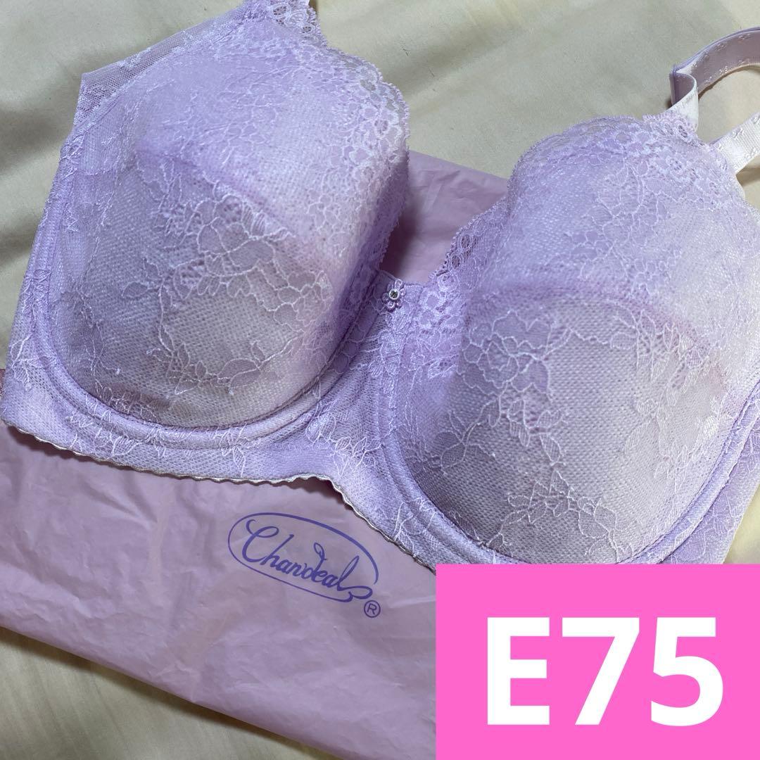 シャンデール　シャイニー　ブラジャー　E75 レディース　下着　夏用　ピンク