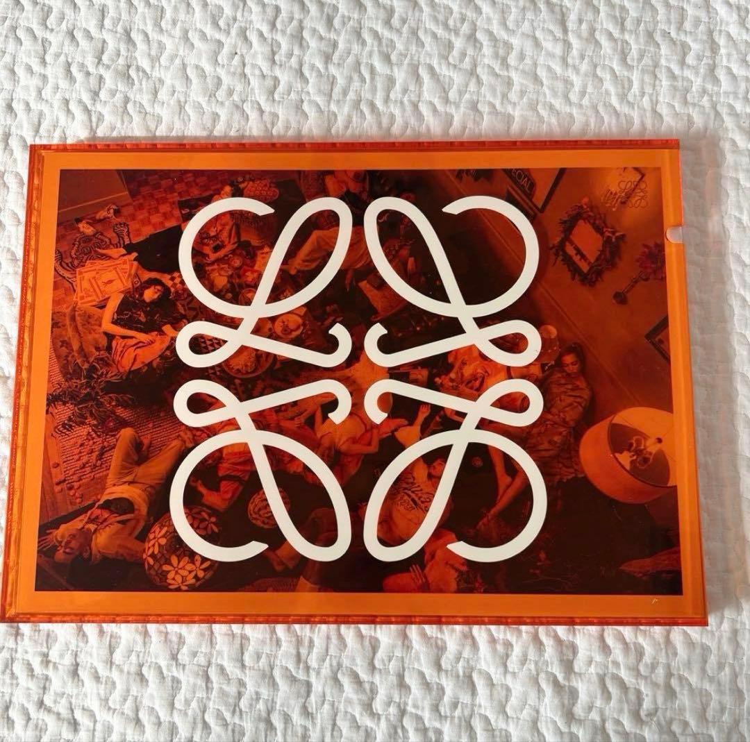 【非売品】PERIMETRON × LOEWEルックブック