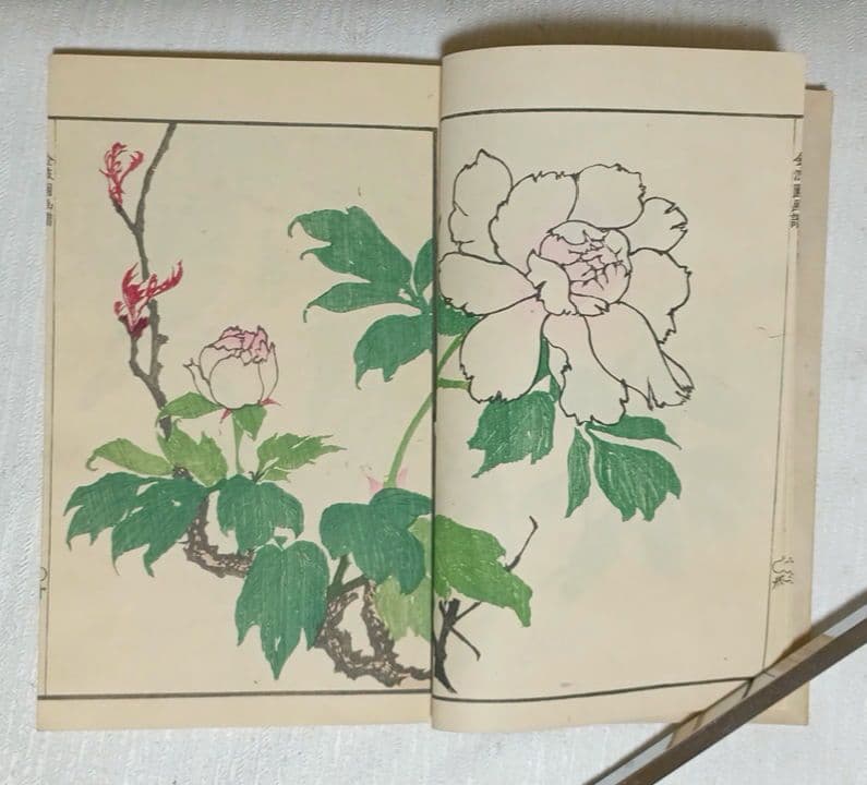 金波園画譜（色刷り版画本)河村文鳳画 文政3年（1820)年出版 - メルカリ