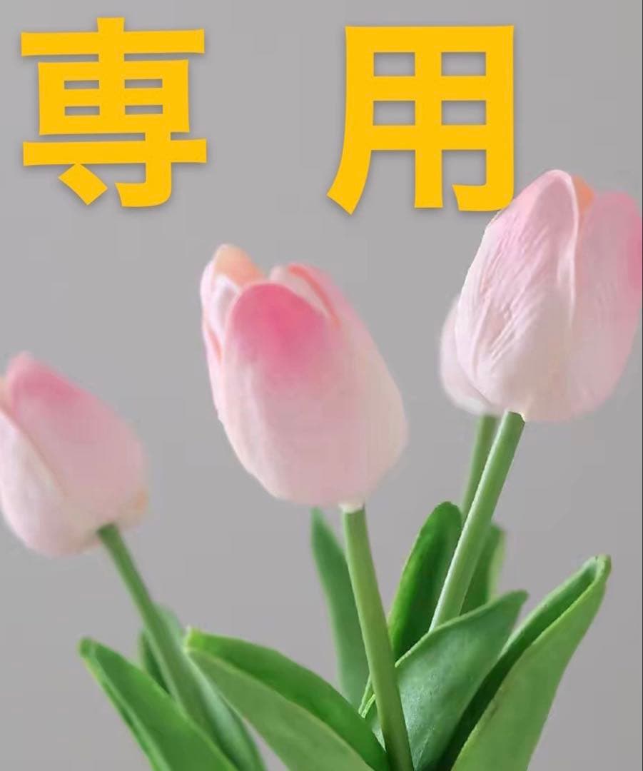 POLA 最新B.A ローション8mlx10本