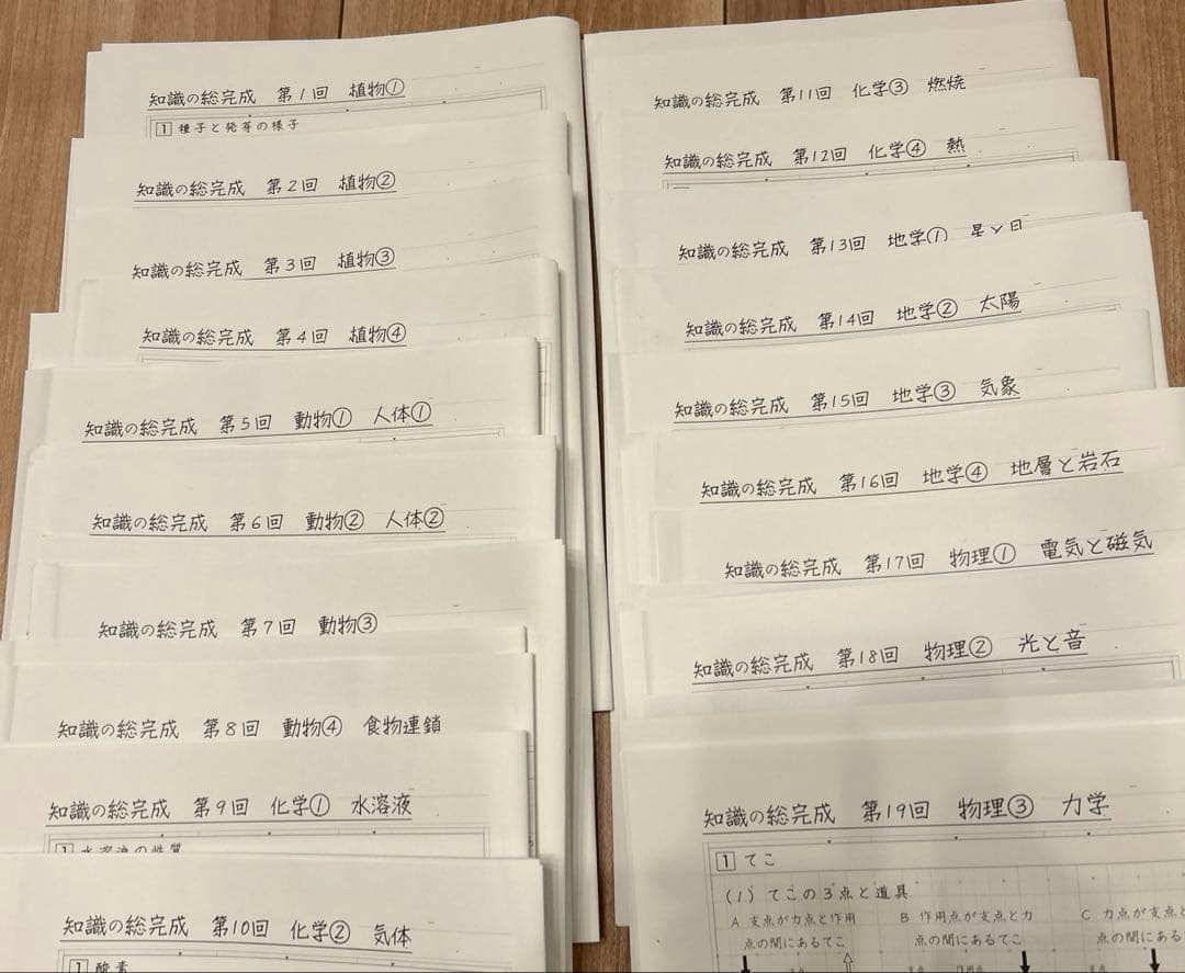 サピックス 知識の総完成 理科 6年生総まとめ 欠番なし - メルカリ