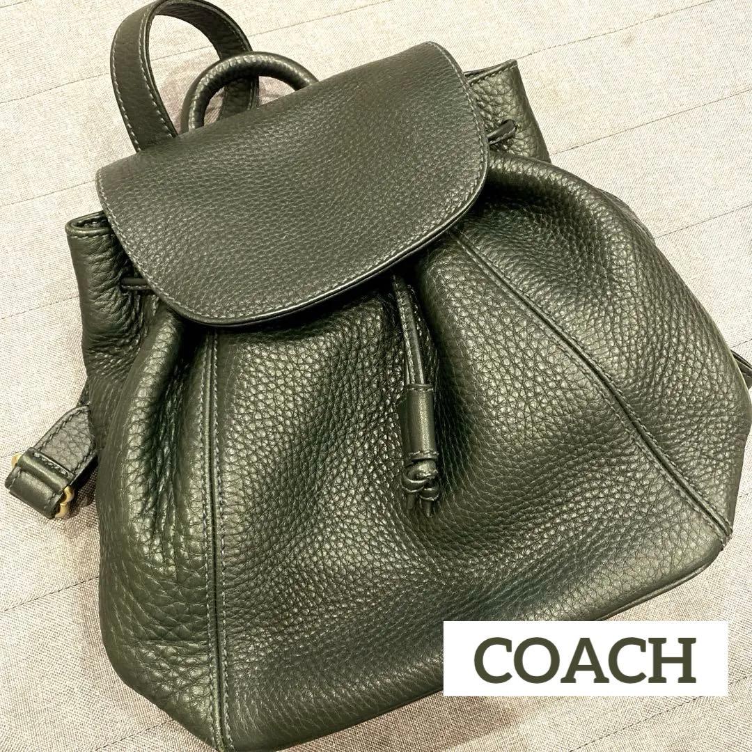 美品 コーチ COACH オールドコーチ 巾着 バックパック リュックサック 希少色 OLD COACHコーチ リュック ブルグレインレザー 水色 巾着
