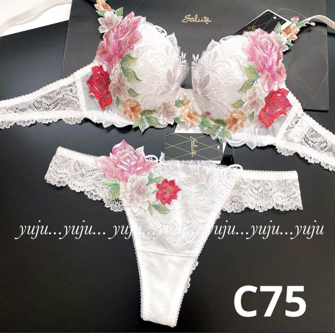 ワコール/サルート 09 店舗限定✨新品タグ付 P-upブラソングM C75