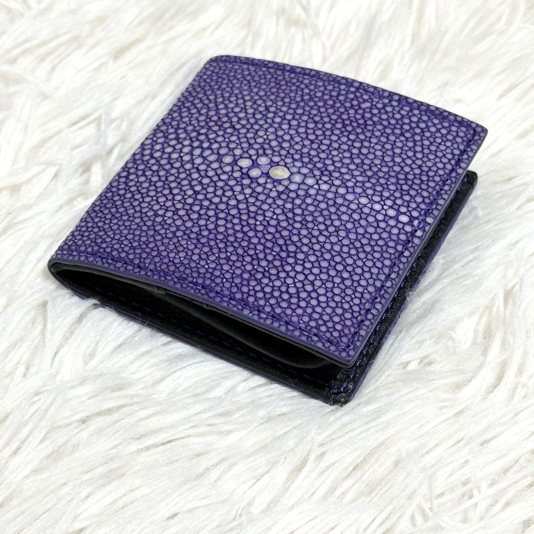 【新品同様】BAHARI ガルーシャ ケース ポリッシュ ライトパープル