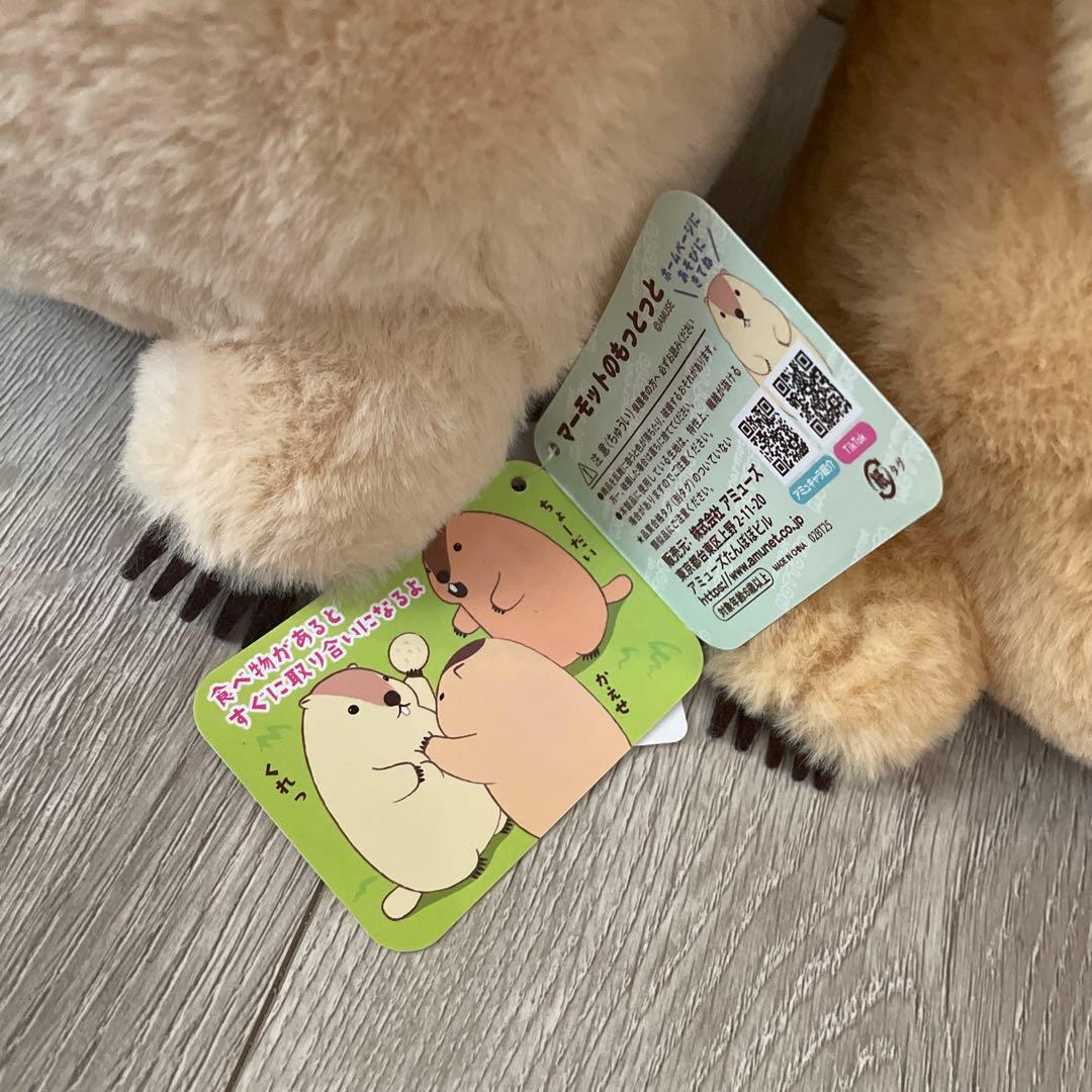 マーモットのもっとっとJB ぬいぐるみ もっとっと はまもと アー太郎