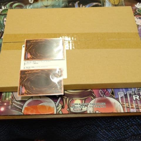 レッドアイズブラックドラゴン プリズマティックシークレットレア 遊戯王OCG 真紅眼の黒竜 プリズマティックシークレット レッドアイズ