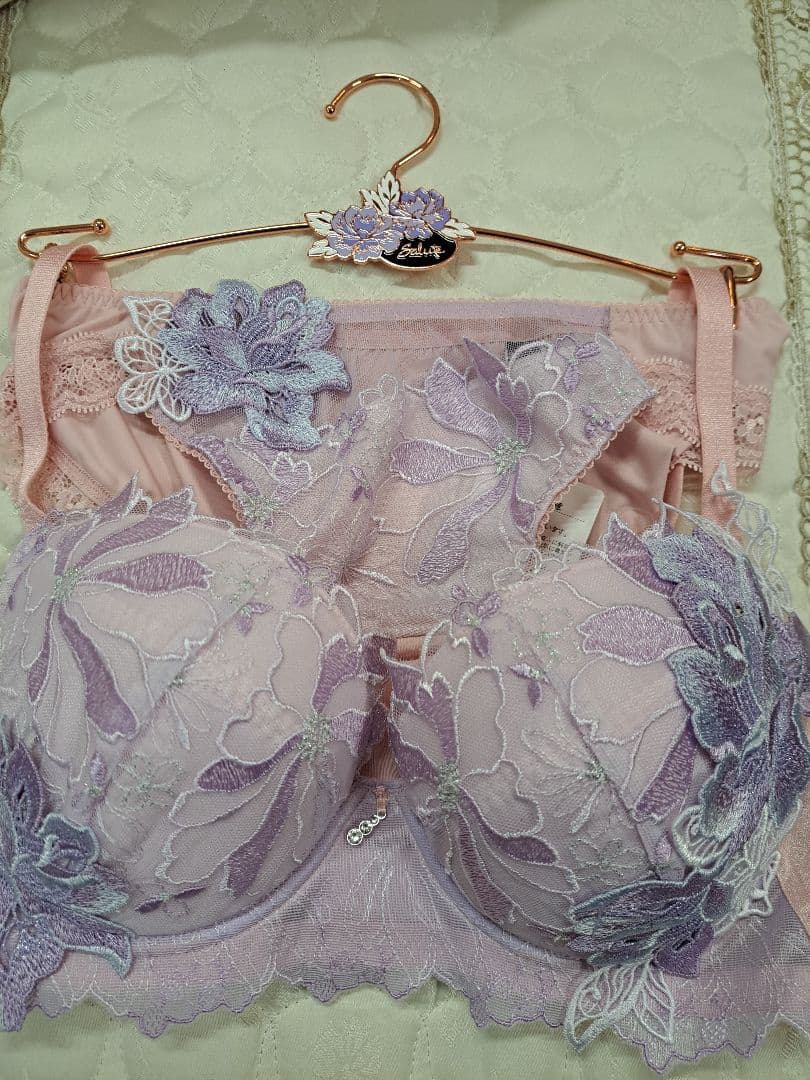 最終処分　ワコール　サルート　E75　Lサイズ　ノーマル　96G　希少品 2026年最新】ワコール サルート e75の人気アイテム - メルカリ