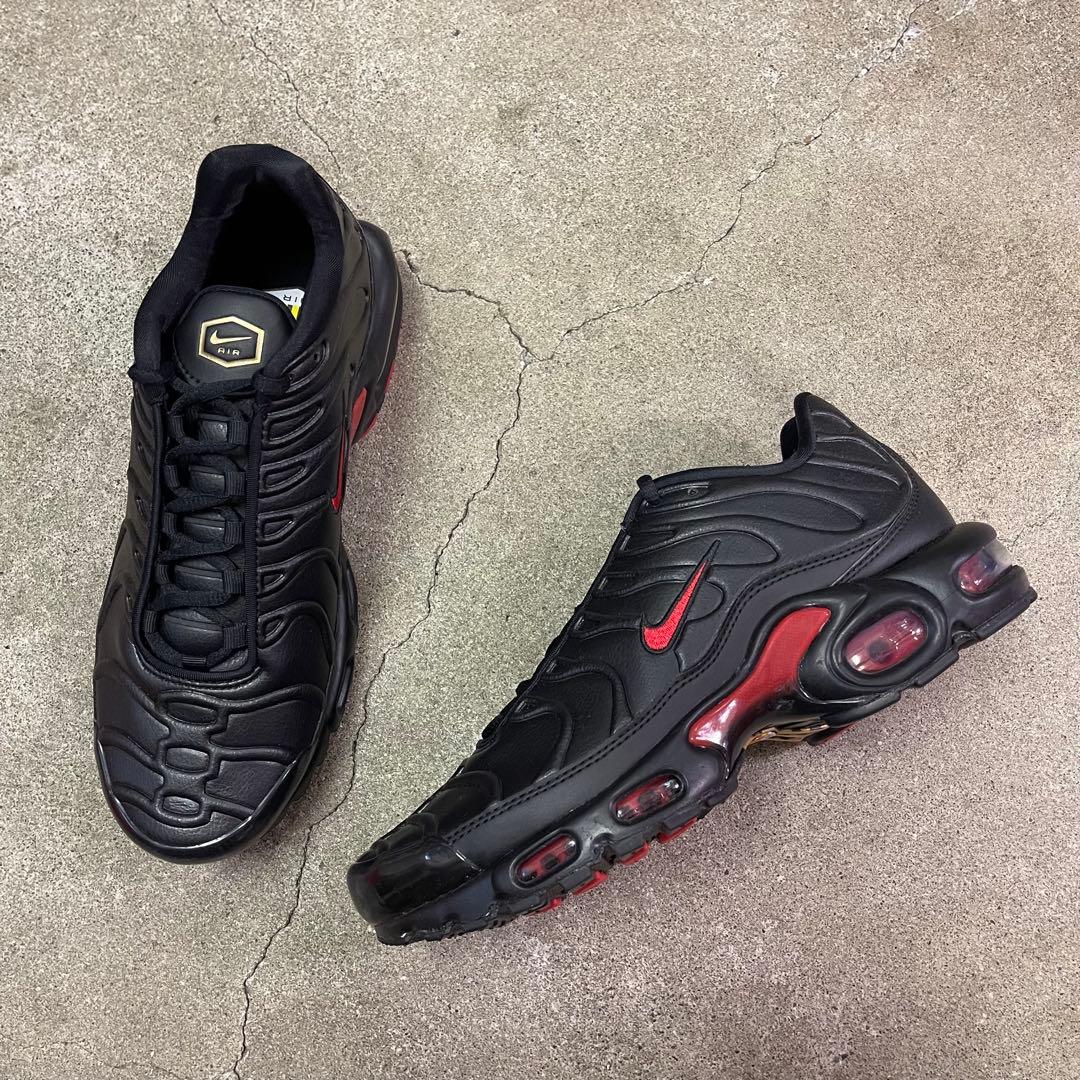 Nike Air Max Plus Premium FZ3038-001 29㎝