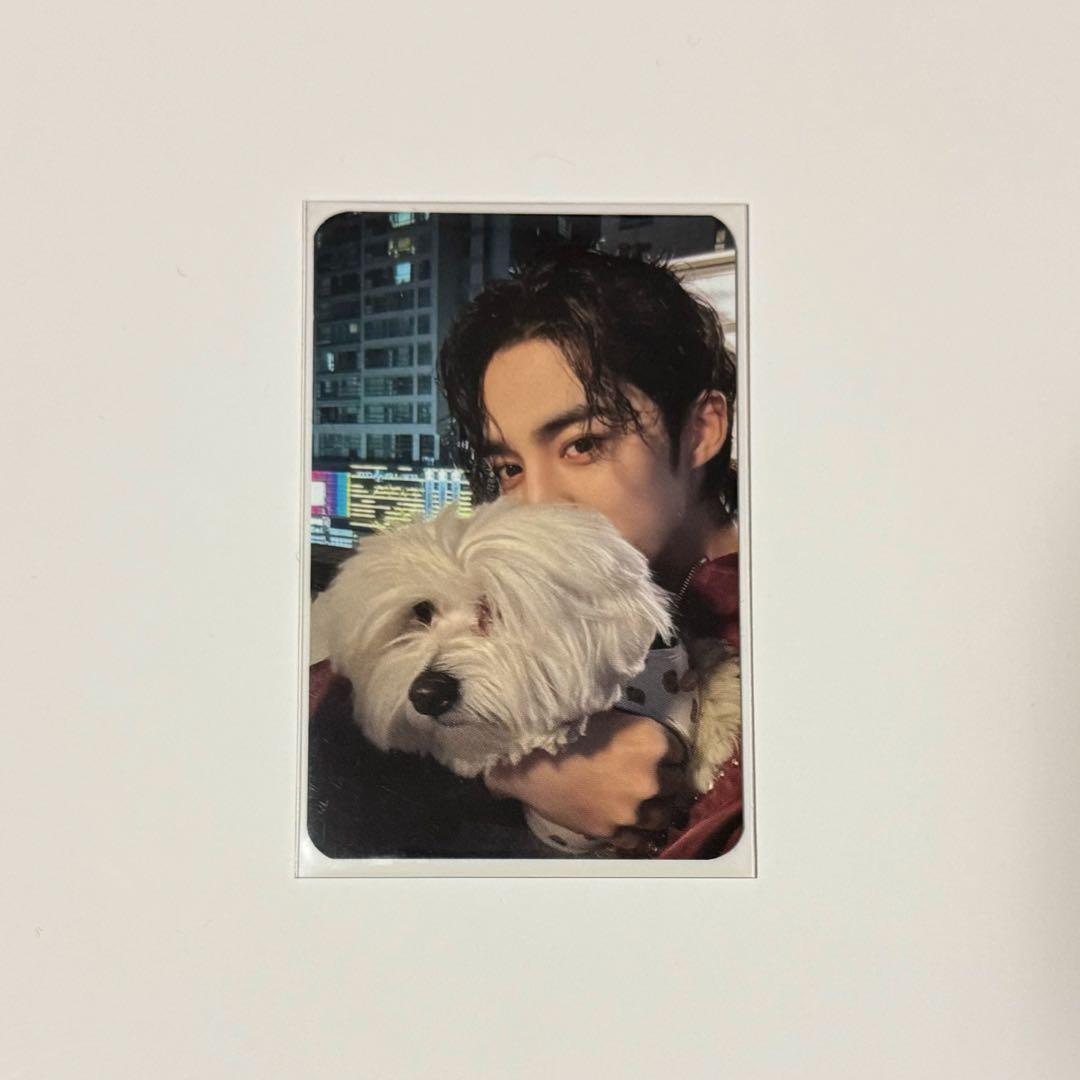 SEVENTEEN FML エスクプス クマ YES24 特典 トレカ SEVENTEEN FML yes24 エスクプス トレカ - メルカリ