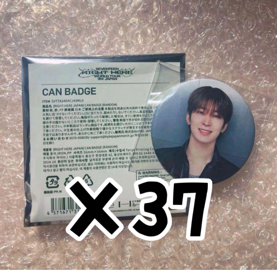SEVENTEEN RIGHT HERE ウォヌ 缶バッジ