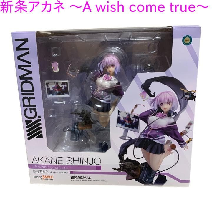 新条アカネ ～A wish come true～