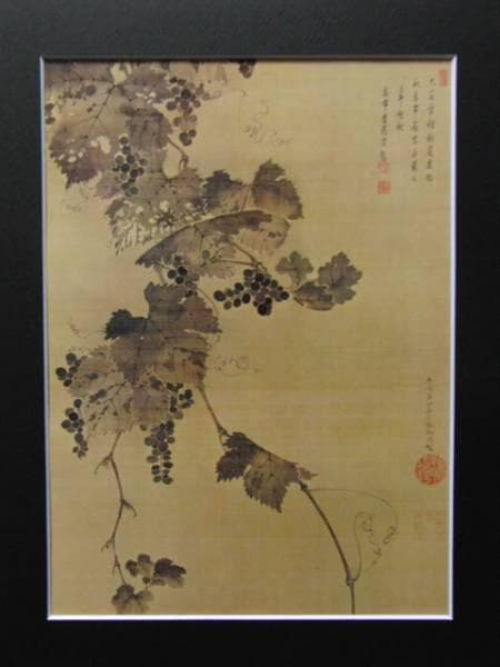 伊藤若沖、葡萄図、超希少・大判画集画、新品高級額装付