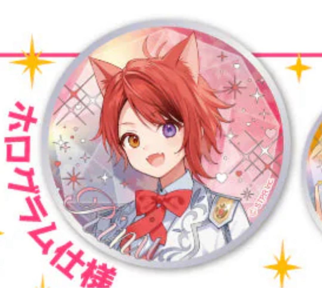 莉犬くん9周年缶バッジ30点