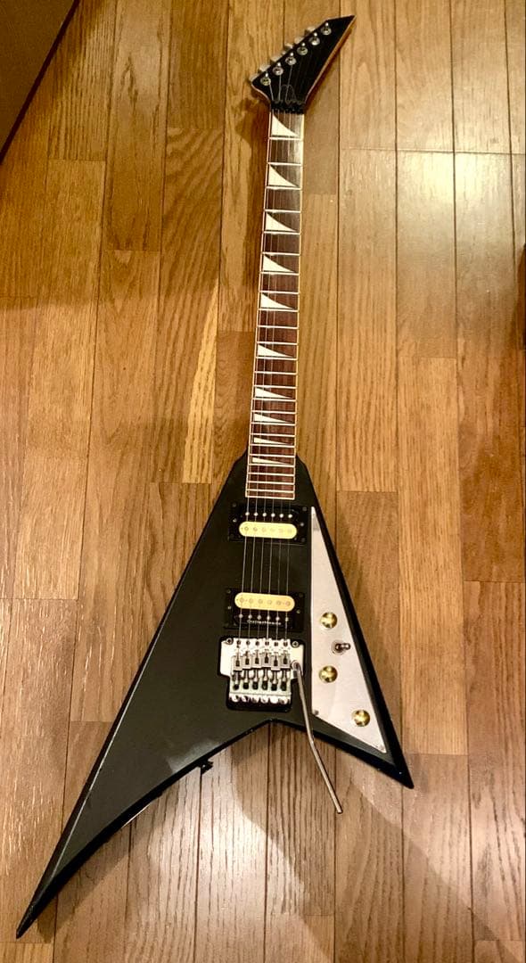 ランディローズ V型エレキギター ランディローズがやっぱり大好き！！ | イシバシ楽器スタッフブログ