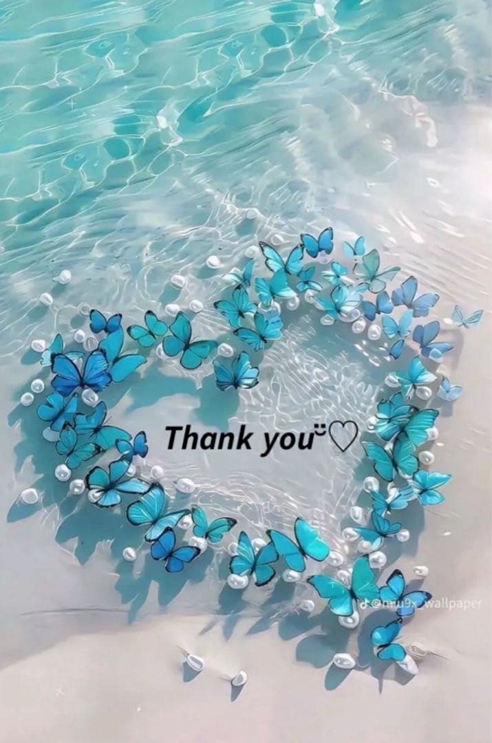 ❤️はりねずみ様❤️