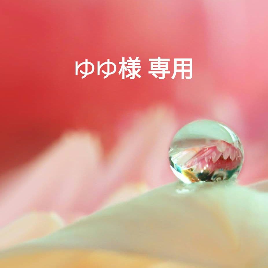 ゆゆ様 リクエスト 8点 まとめ商品 ゆゆゆ様 リクエスト 2点 まとめ商品 - メルカリ