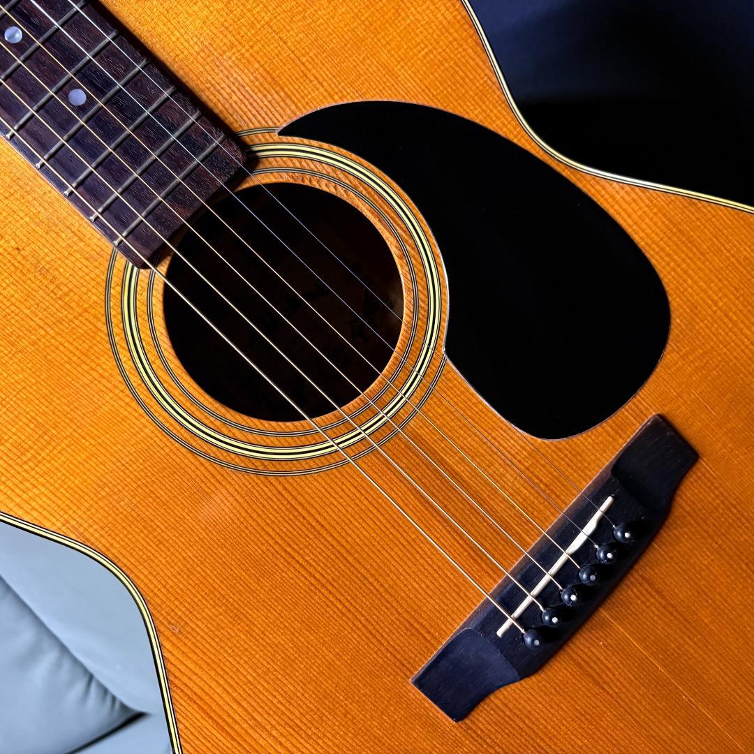 ★幻のF.Hashimoto F213 がこれだ！超鈴鳴・超美品・訳有★