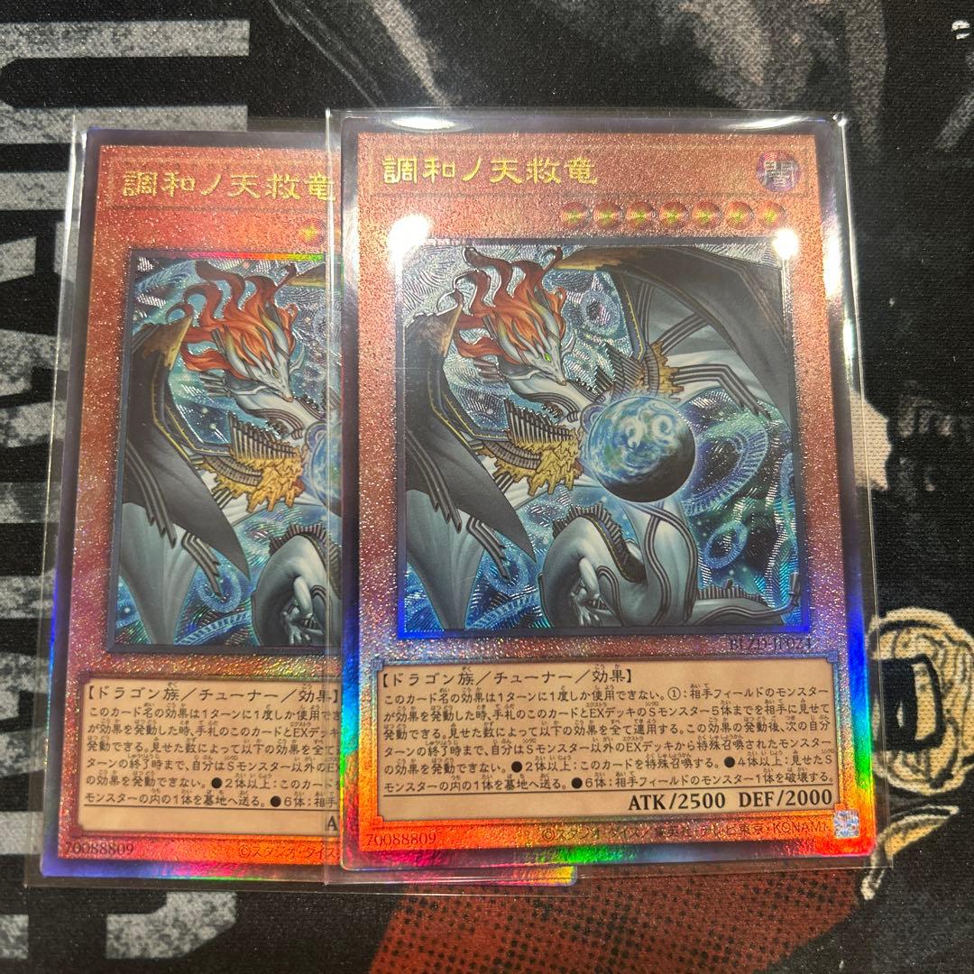 調和ノ天救竜　レリーフ