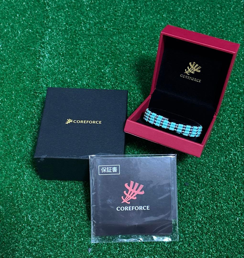 未使用/新品コアフォースループ パールミントSUS CFL70