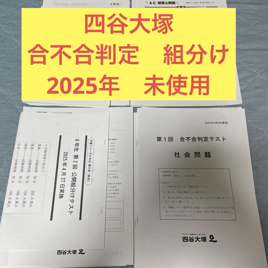 四谷大塚 組分けテスト 合不合判定テスト 未使用 - メルカリ