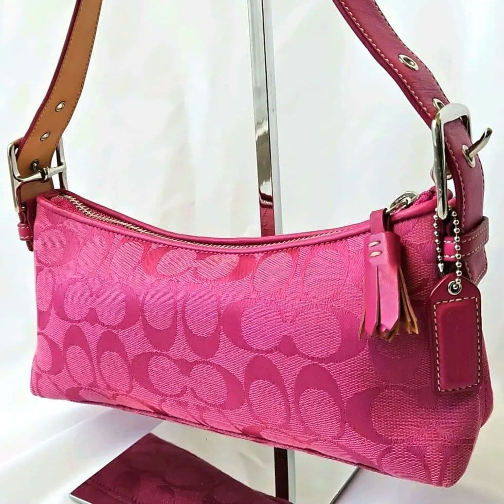 美品☆COACH アクセサリーポーチ ワンショルダー シグネチャー キャンバス コーチ アクセサリーポーチ ワンショルダー キャンバス シグネチャー