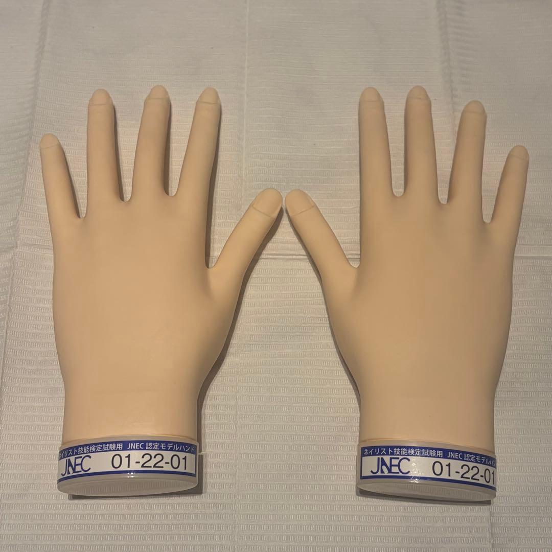 ハンドくん　JNEC認定モデルハンド　両手 STモデルハンド /両手セット（JNEC 第1期認定モデルハンド