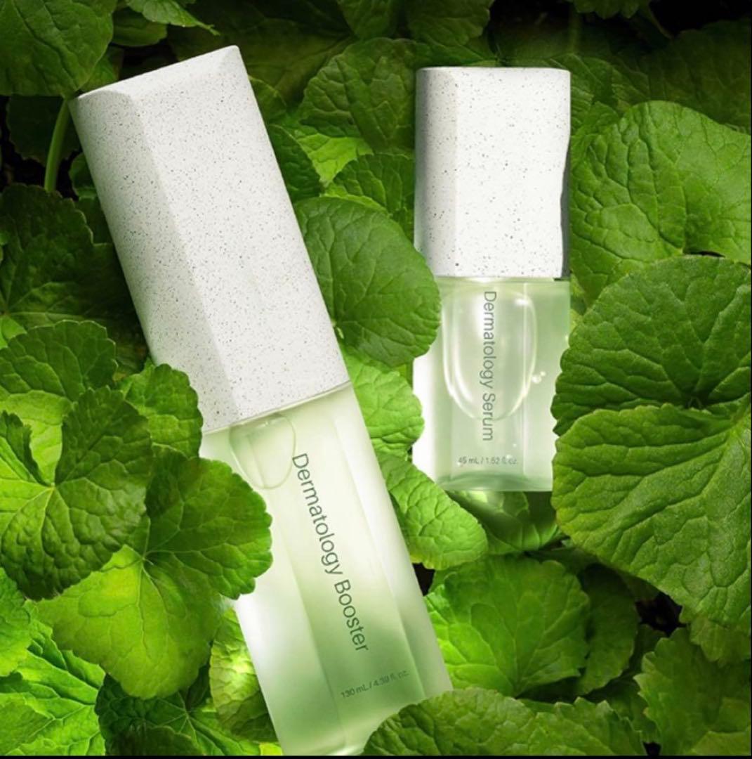 【もりかぜ】スキンケアセット ボタニカル 3ステップ エイジングケア ギフトセット【泡洗顔・化粧水