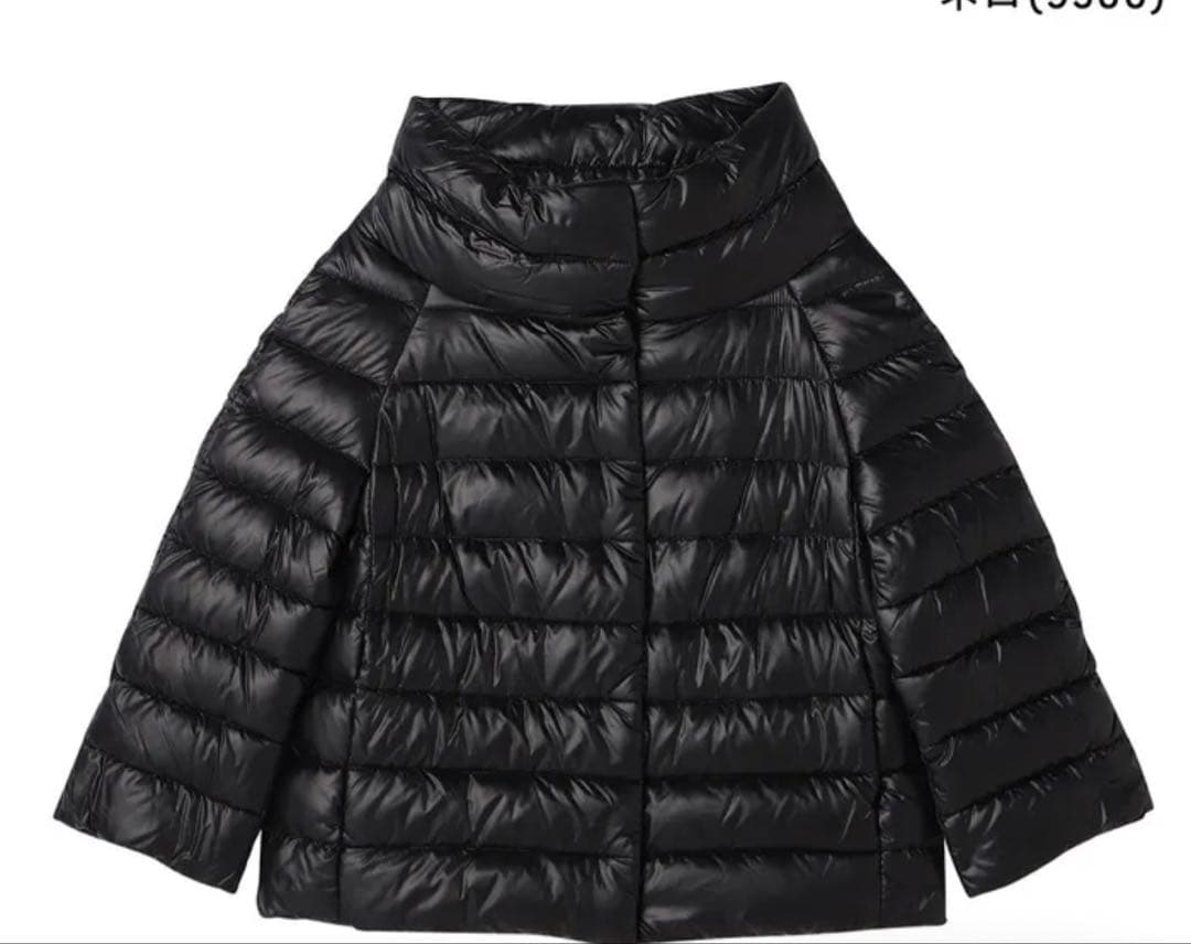 ヘルノダウンジャケット HERNO（ヘルノ） HERNO GORE-TEX INFINIUM WINDSTOPPER フード着脱 撥