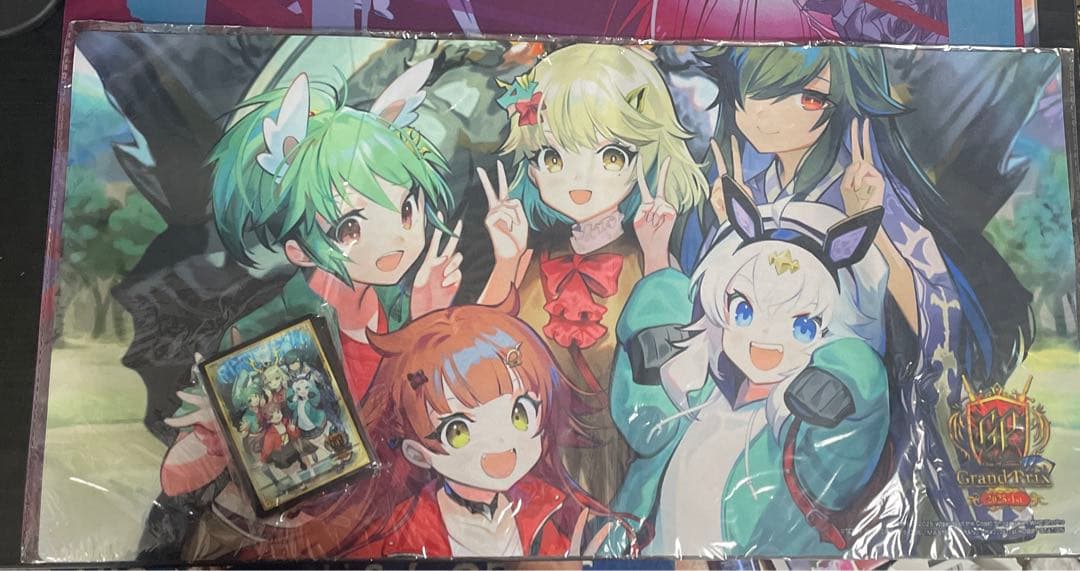 GP限定 星龍パーフェクトアース ドラ娘ver プレイマット スリーブ