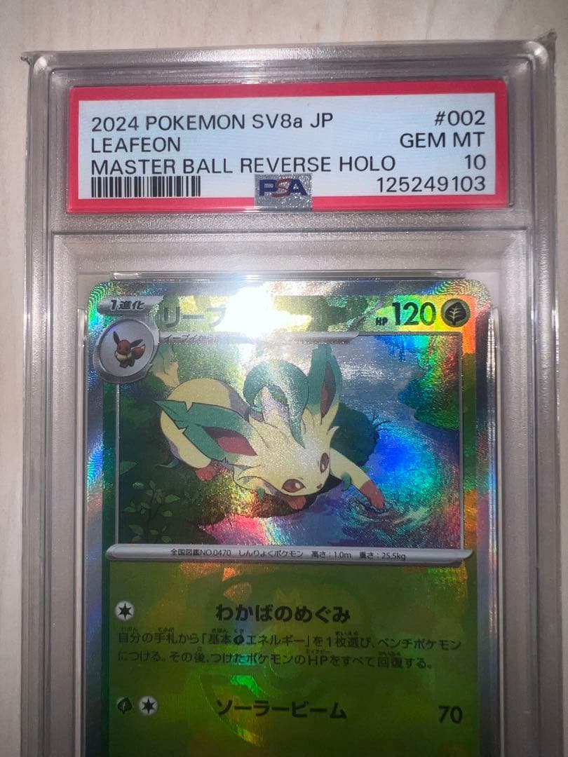 マスボ　リーフィア　マスターボール　ブイズ