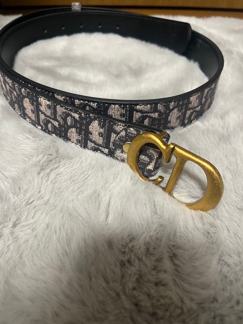 【即購入⭕️】【多少値下げ⭕️】Dior ベルト B0446UWGAM911_E01-1?$