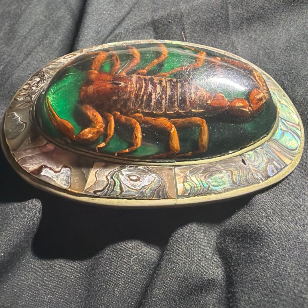 サソリ バックル ベルト ifsixwasnine kmrii v系 お兄系 - メルカリ