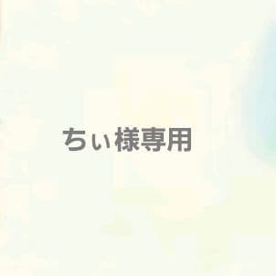 ちぃ 2023 Kawasaki Ninja® ZX™-10R KRT Edition | Motorcycle.com