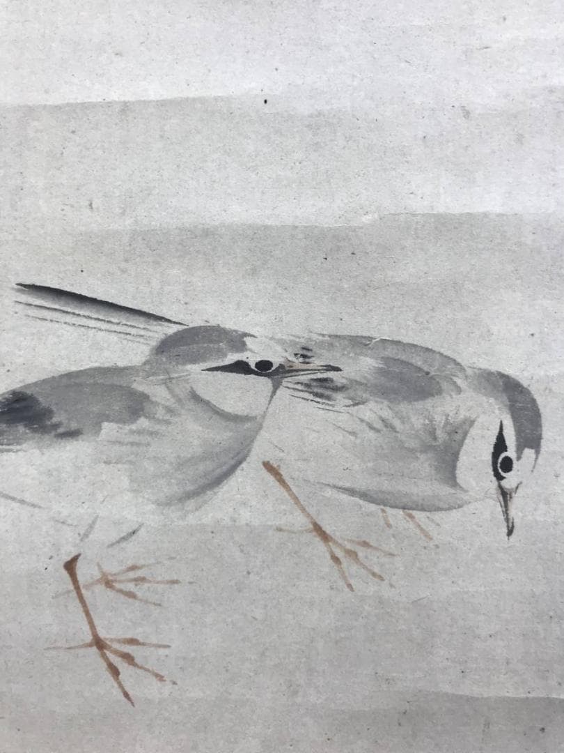 真作/中島来章/江浦草にセキレイ図/鶺鴒/花鳥図/掛軸/名家伝来/