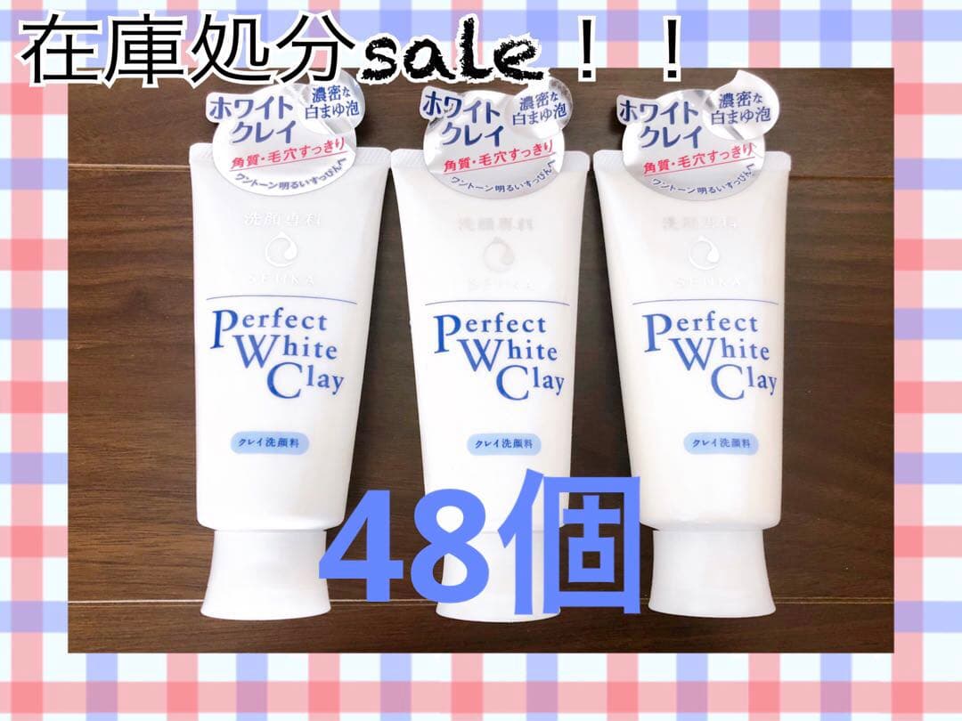 洗顔専科　パーフェクトホワイトクレイ洗顔フォーム120g ×48個