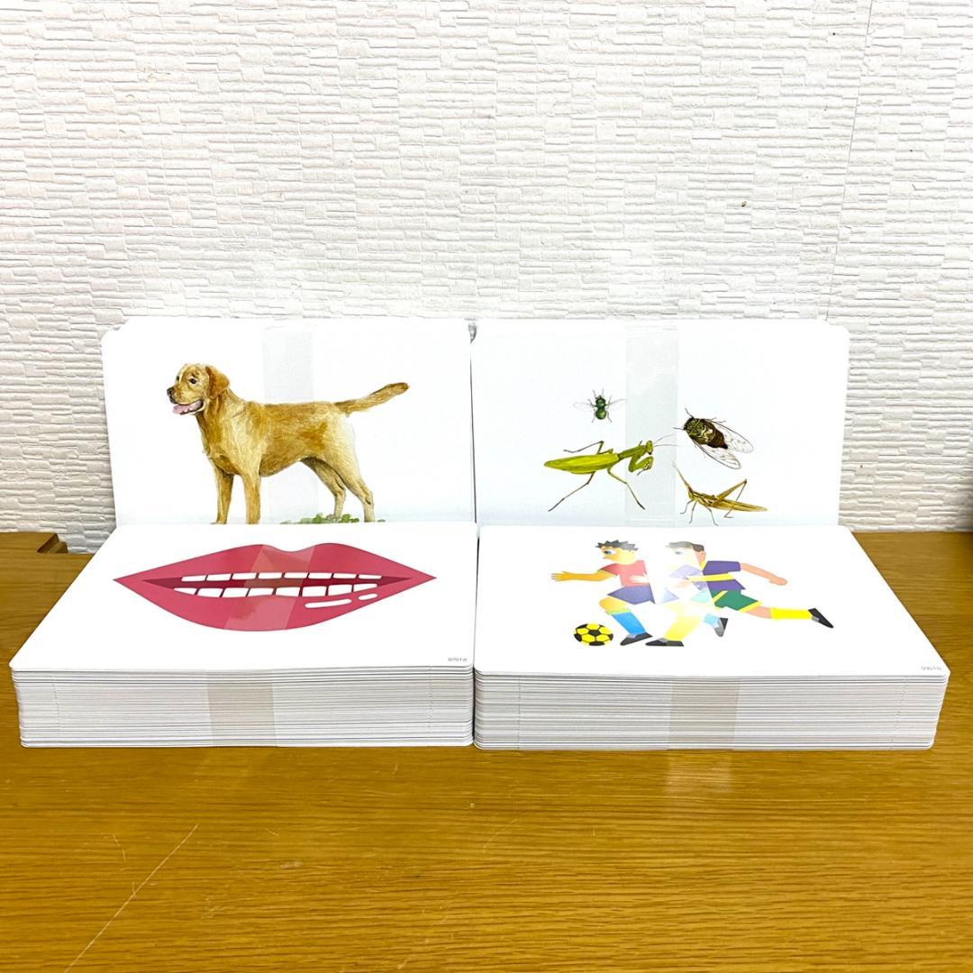 かな絵ちゃん日本語セット 脳が目覚める！七田式定番フラッシュカード