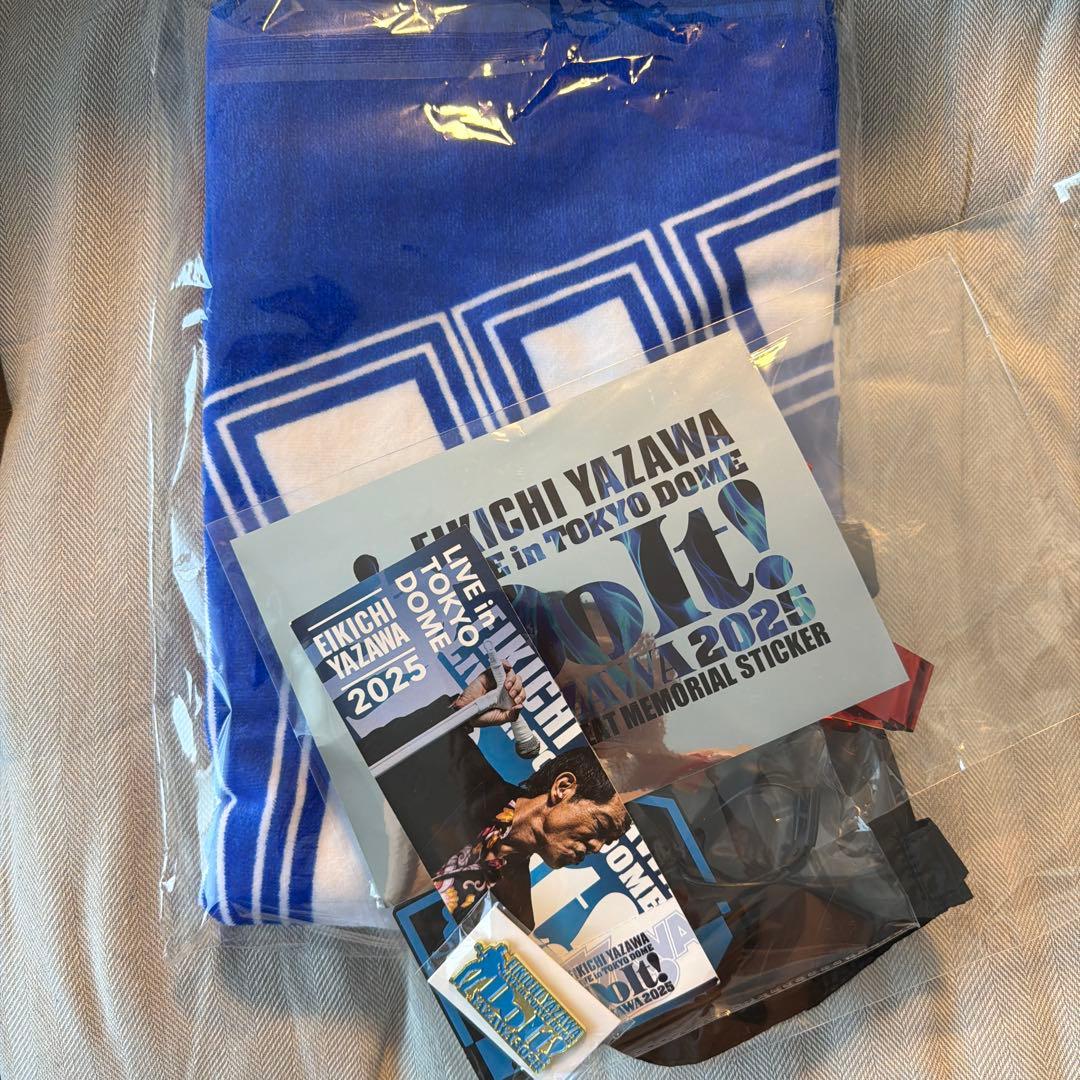 矢沢永吉 2025 東京ドーム PSS席　非売品　限定グッズ　タオルその他セット 矢沢永吉 2025 東京ドーム PSS席 非売品 限定グッズ タオルその他