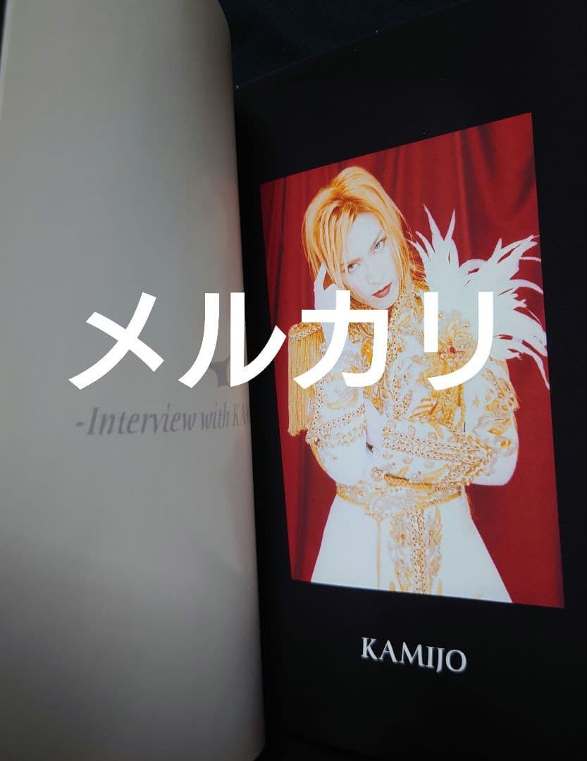 LAREINE KAMIJO 自主レーベル オフィシャルブックと配布CDセットの通販