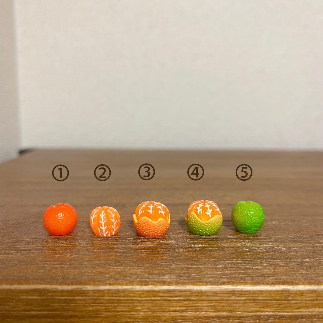 No.1597　選べるみかん　ミニチュア　デコパーツ imgrc0092328271.jpg