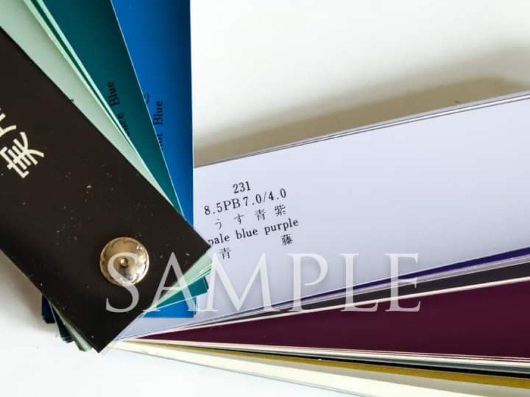 日本色彩「実用 today's COLOR/300」色見本帖 - メルカリ