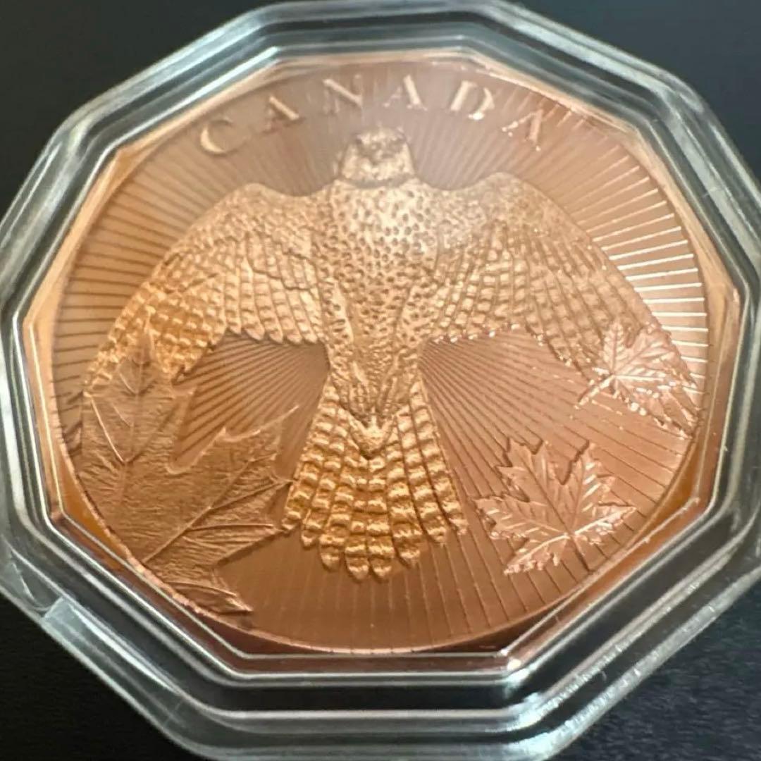 カナダ ファルコン銅貨 1オンス カプセル付 800枚限定 純銅 - メルカリ