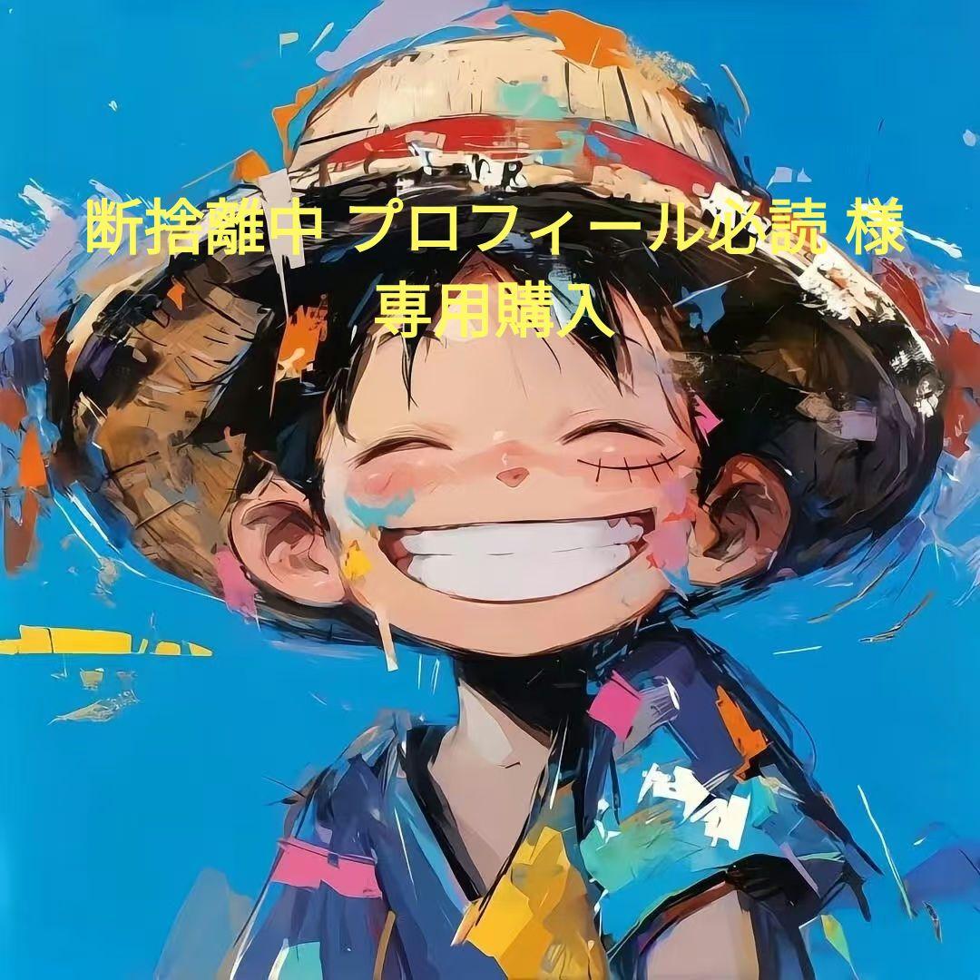 断捨離中 プロフィール必読 購入