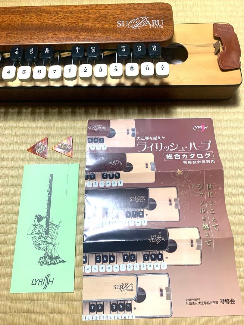 送料込】大正琴 ライリッシュ スバル ソプラノ - メルカリ