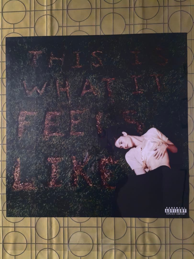 グレイシーエイブラムス-ThisIs WhatItFeelsLike特注ポスター グレイシー・エイブラムス 初来日公演！⁠ ⁠ 2025/4/8(火)⁠ 東京・ZEPP