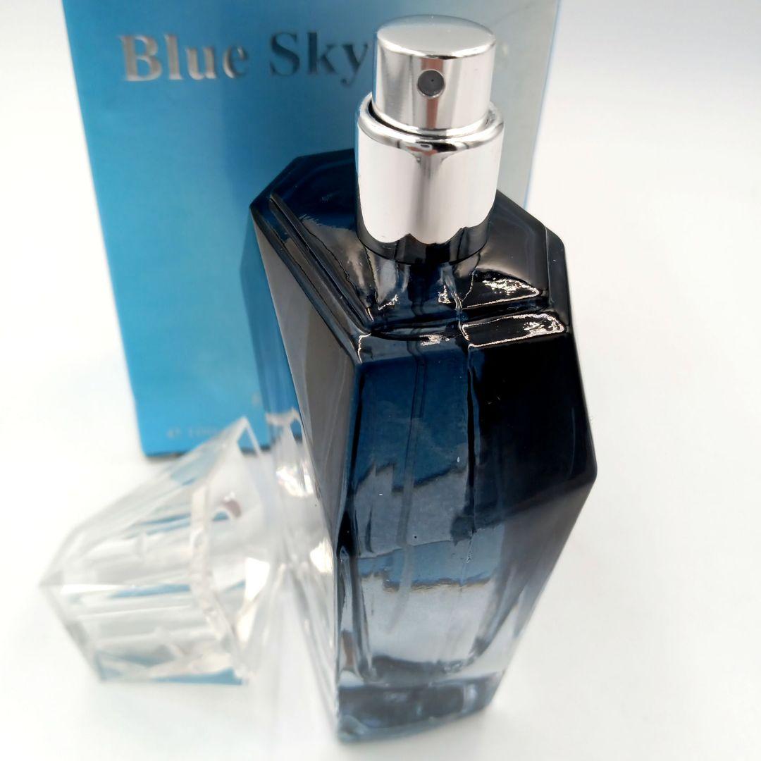 Blue Sky Blue ブルースカイブルー オードトワレ 100ml - メルカリ