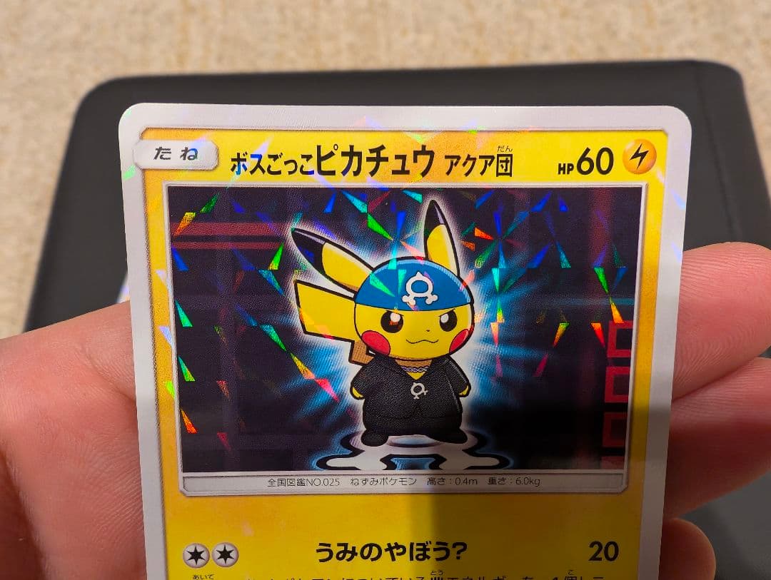 ボスごっこピカチュウ スカル団 アクア団 ギンガ団 レインボーロケット